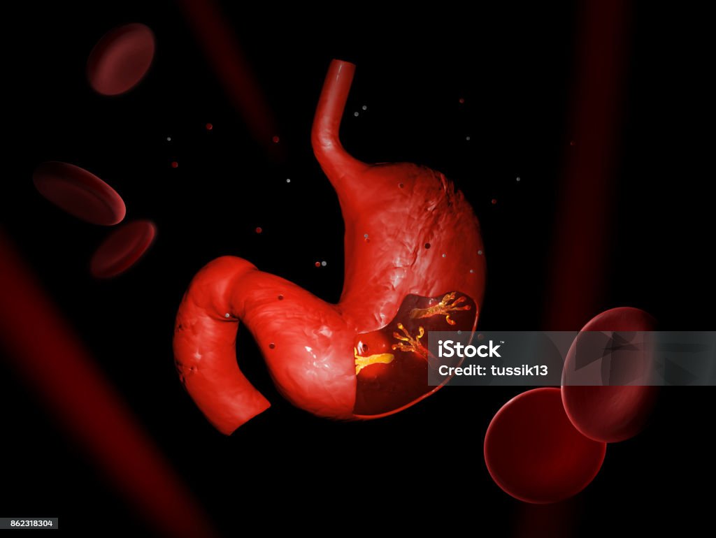 Helicobacter Pylori, microaerophilic bacteria found in the stomach. 3D illustration. Helicobacter Pylori, microaerophilic bacteria found in the stomach. 3D illustration Anatomy Stock Photo