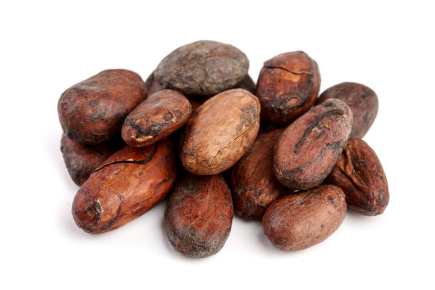 istock unpeeled cocoa bean isolated on white background macro top view 862324212