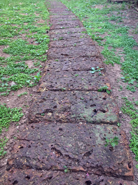 istock Laterite stone walkway in the park. 862324630