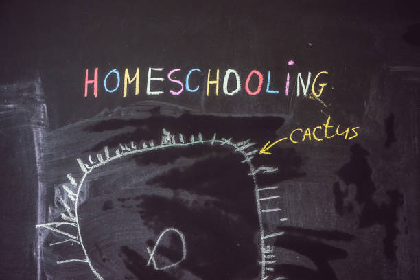 istock Homeschooling. The boy is drawing under word Homeschooling on a blackboard 862326166