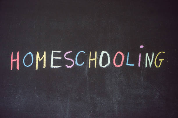 istock Homeschooling. Child pointing at word Homeschooling on a blackboard 862326168