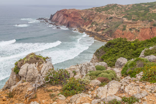 istock Vegetation, cliffs and ocean in Cabo de Sao Vicente 862330890