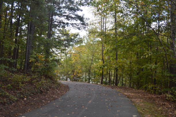 istock Little Mulberry Park, GA Nature Trail 862334752