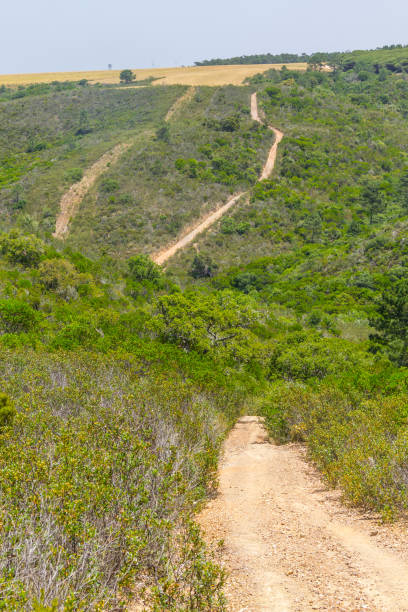 istock Trail in mountains and vegetation in Aljezur 862335764