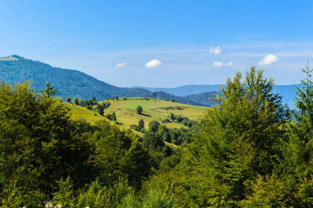 istock Montainous view in the Carpathian 862345210