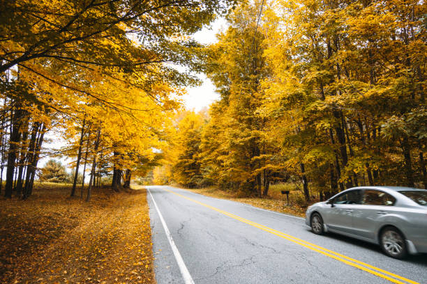 istock Autumnal road in new hampshire 862345408
