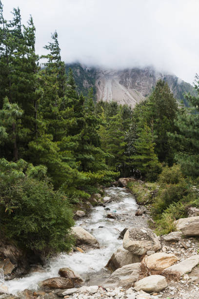 istock Alpine landscape with forest and stream in Annapurna area, Nepal. 862346338