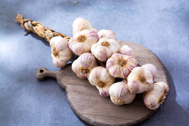 istock New harvest french violet garlic braid 862346898
