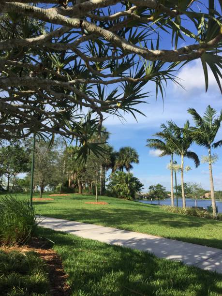 Footpath with no people in a landscaped Park with trees and a lake in Florida