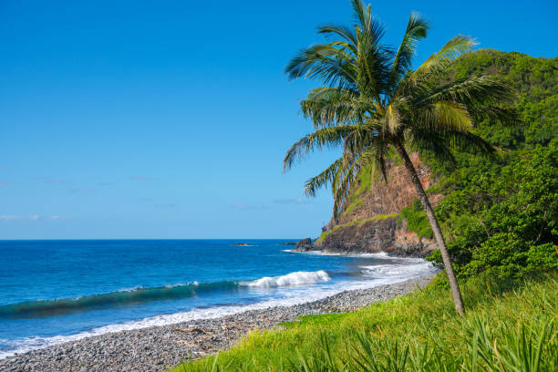 istock Shore at south coast of Maui, Hawaii 862363582