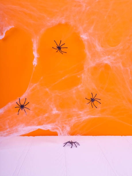 istock bat Halloween orange bright Vaughn, copy space, cute, humorous backdrop for a fun filled holiday, flat lay, black spiders and pumpkin. 862378870