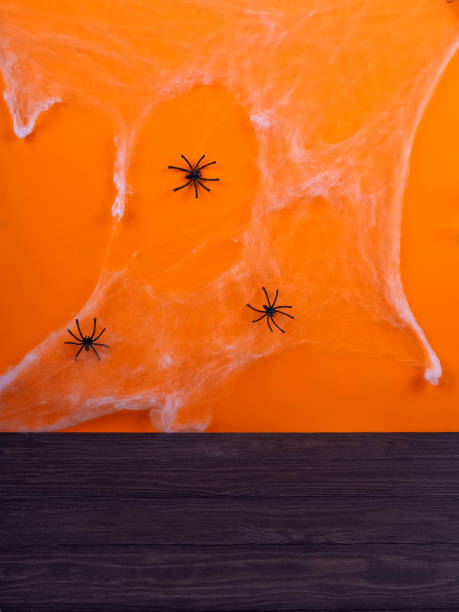 istock bat Halloween orange bright Vaughn, copy space, cute, humorous backdrop for a fun filled holiday, flat lay, black spiders and pumpkin. 862378932