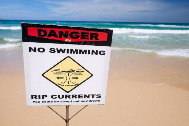 istock No swimming warning sign on the beach. 862379156