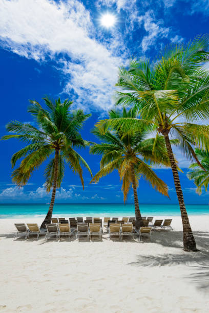 istock paradise tropical beach palm the Caribbean Sea 862386114