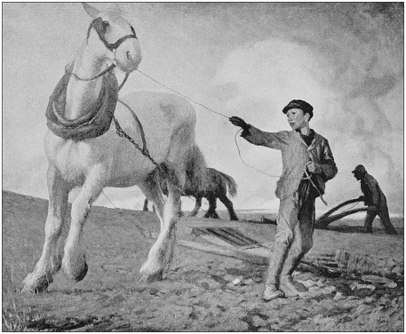 Antique dotprinted photo of paintings: Boy and horse