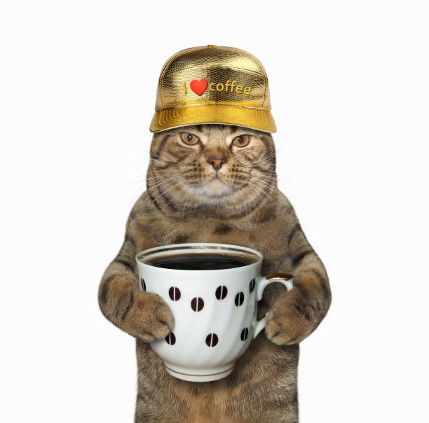 istock Cat with cup of coffee 862393134