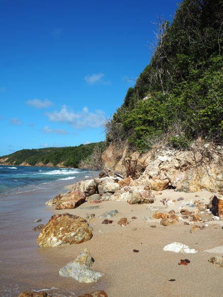 istock Beach Peninsula of Caravelle Martinique 862395326