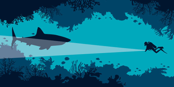 ilustrações, clipart, desenhos animados e ícones de caverna subaquática, mergulhador, tubarão, coral, peixe, mar. - vector reef coral shark