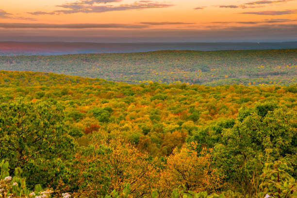 Colorful autumn mountain
