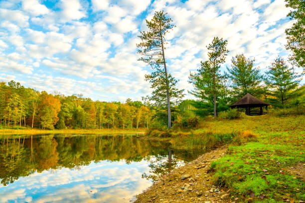 Autumn Lake background stock photo