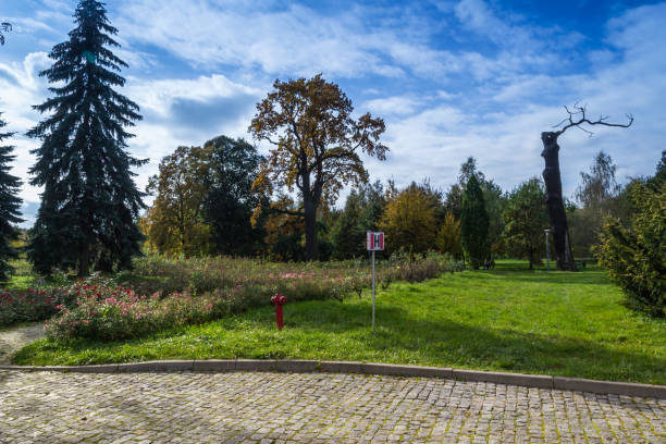istock Park in Lodz, Poland 862400864