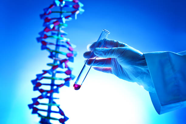 mano que sostiene una probeta solución química en un laboratorio de investigación de adn de bio-química - alimento genéticamente modificado fotografías e imágenes de stock