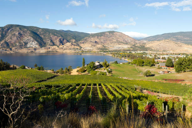 istock Okanagan Valley Penticton Winery Vineyard Skaha Lake 862401480