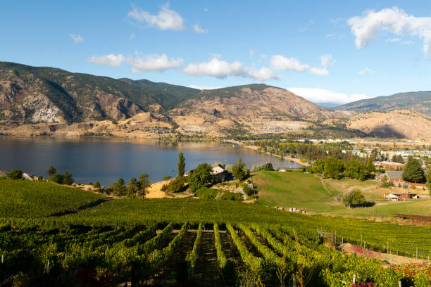 istock Okanagan Valley Penticton Winery Vineyard Skaha Lake 862401536