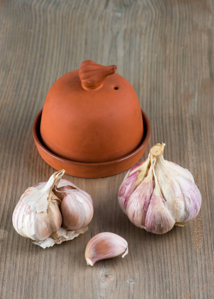 Garlic bulbs in front of antique red clay garlic roaster On weathered pine table top, an antique red clay garlic roaster in the background. garlic bulb stock pictures, royalty-free photos & images