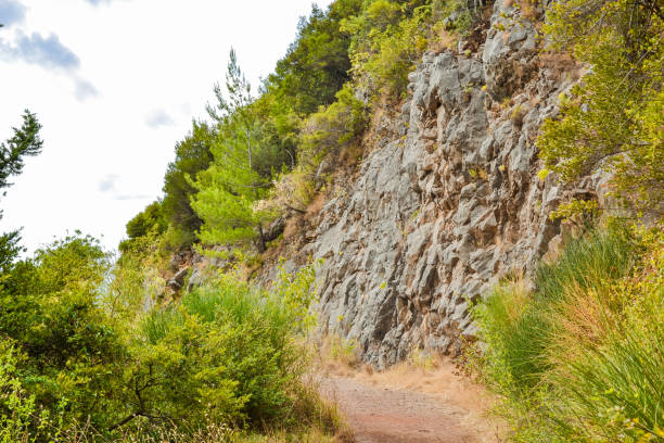 istock Pedestrian path in the mountains. Young greens and crumbling stones 862404624