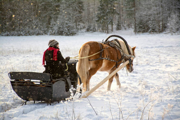 istock Horse and sleigh 862404846