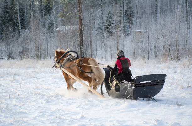 istock Horse and sleigh 862405220
