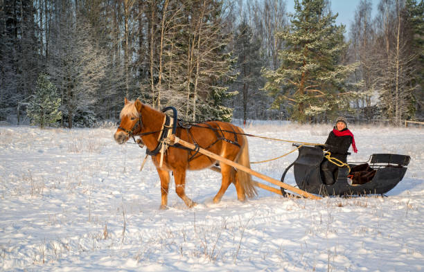 istock Horse and sleigh 862405244