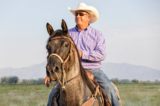 Senior Cowboy rides his horse on his ranch