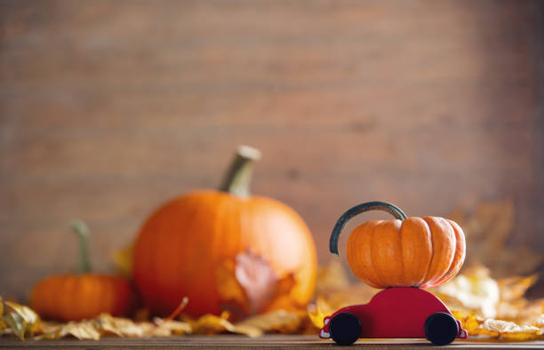 maple leaves and pumpkins with little cart toy stock photo