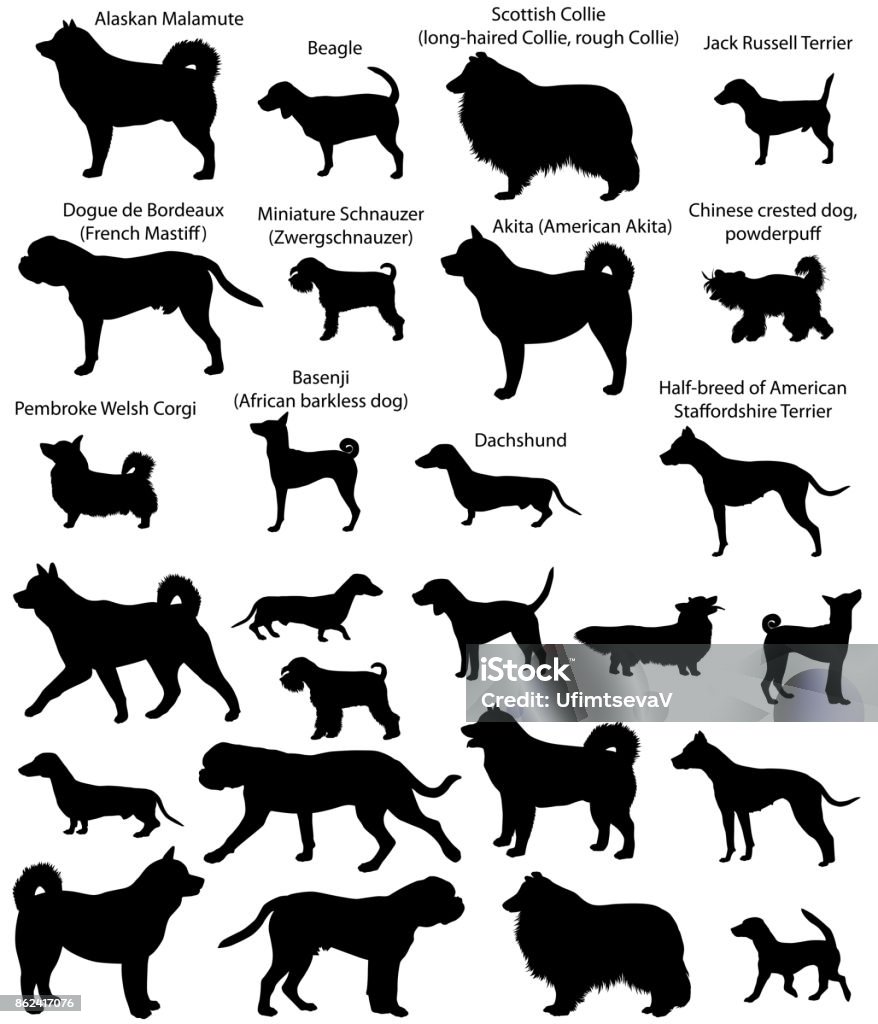 Exposition canine silhouettes - clipart vectoriel de Silhouette - Contre-jour libre de droits