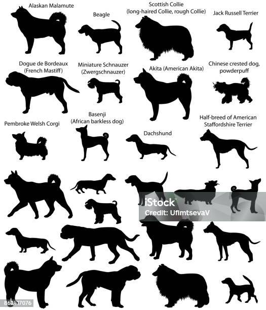 Exposition Canine Silhouettes Vecteurs libres de droits et plus d'images vectorielles de Silhouette - Contre-jour - Silhouette - Contre-jour, Chien, Chien de race