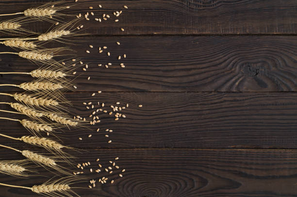 istock Wheat ears and grains on a dark wooden surface 862418598