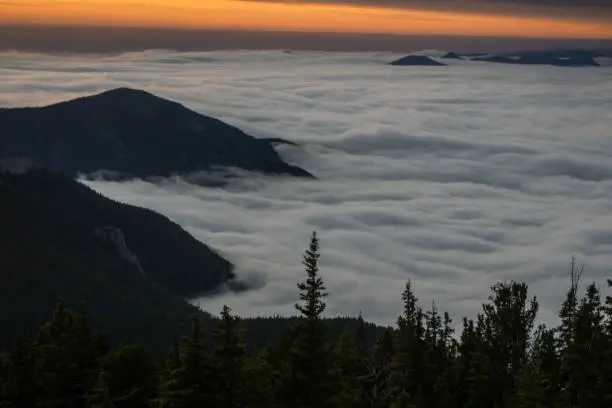 Photo of Foggy Sunrise in Colorado