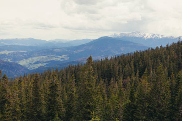 istock landscape in mountains Carpathians Ukraine 862422874