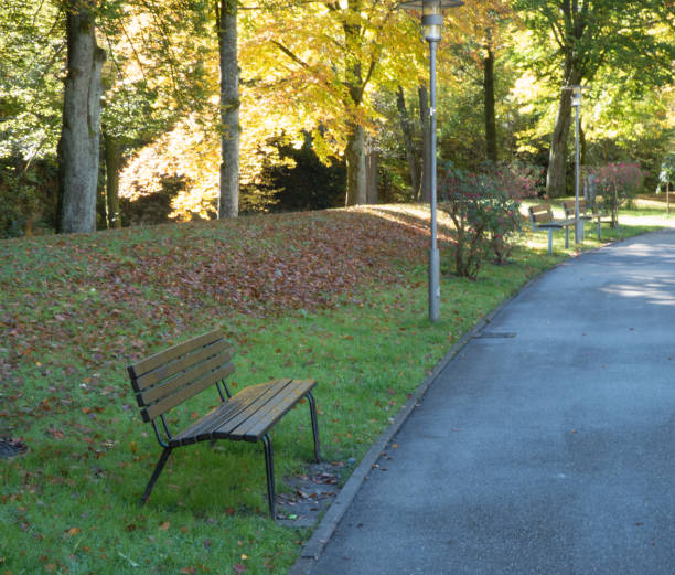 istock seat in the park - germany 862423812