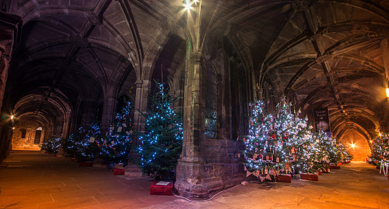 A line of decorated Christmas Trees in Chester Catherdral