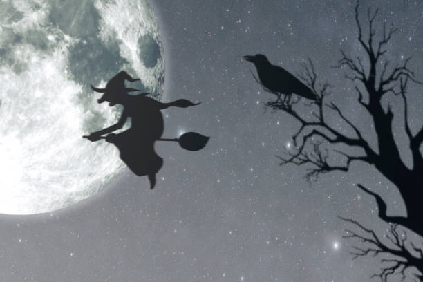 halloween. the witch flying on the broom against the background of the night sky. - witchcraft heights imagens e fotografias de stock