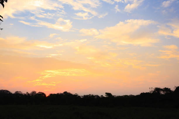 Sundown from Pantanal. Brazilian wetland region. Panorama from Brazil