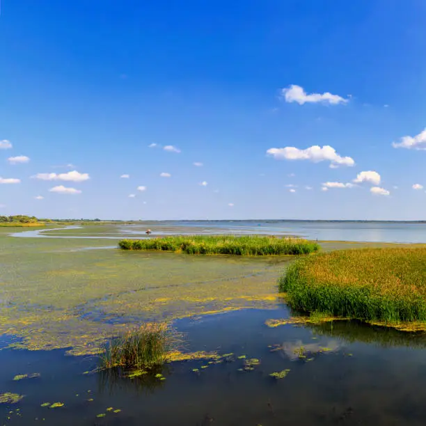 Tisza Lake National Reserve in the Hortobágy National Park of Hungary. Composite of 3 images