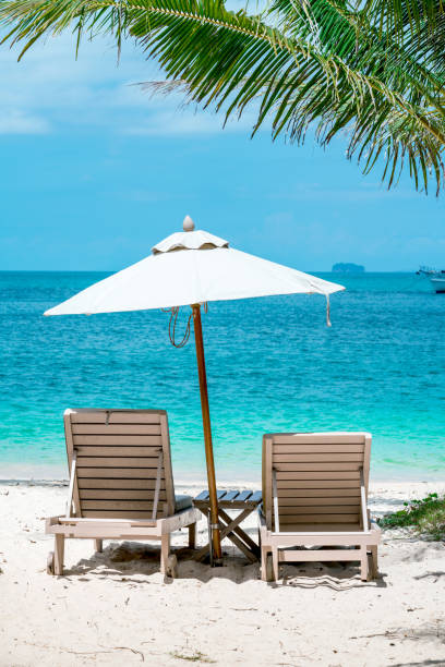 istock comfortable chair on the beach, modern umbrella, clear sky and sea, copy space. 862434648