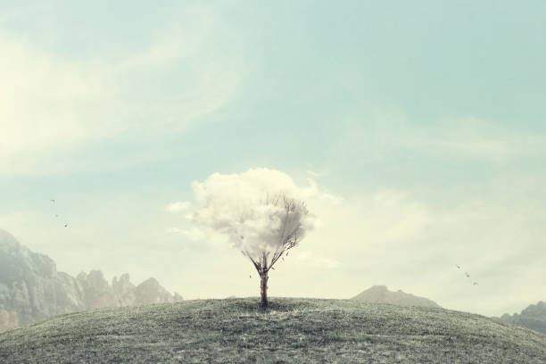 minimalist surreal winter landscape