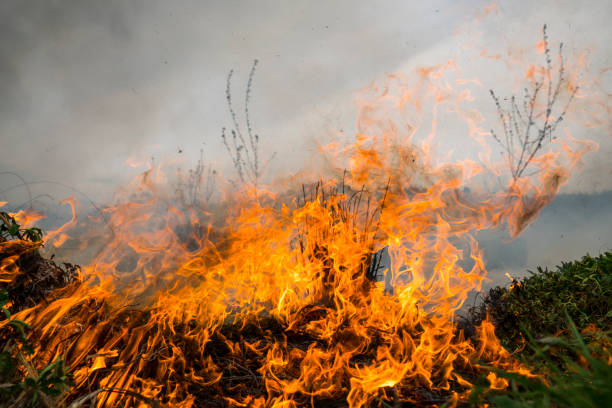 istock Close-Up Of Burning Fire 862442092