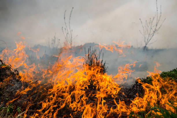 istock Close-Up Of Burning Fire 862442094