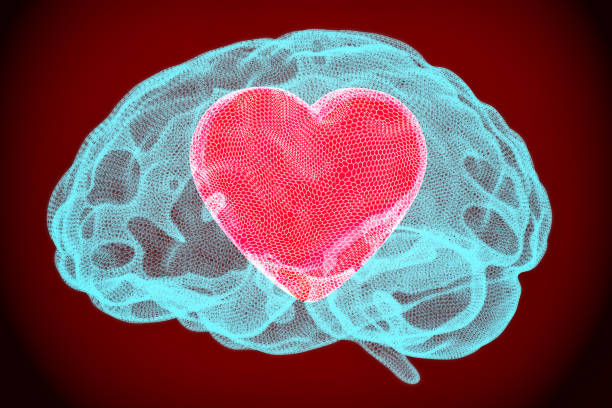 heart inside brain, smart love concept. 3d rendering - romance three dimensional digitally generated image ideas imagens e fotografias de stock